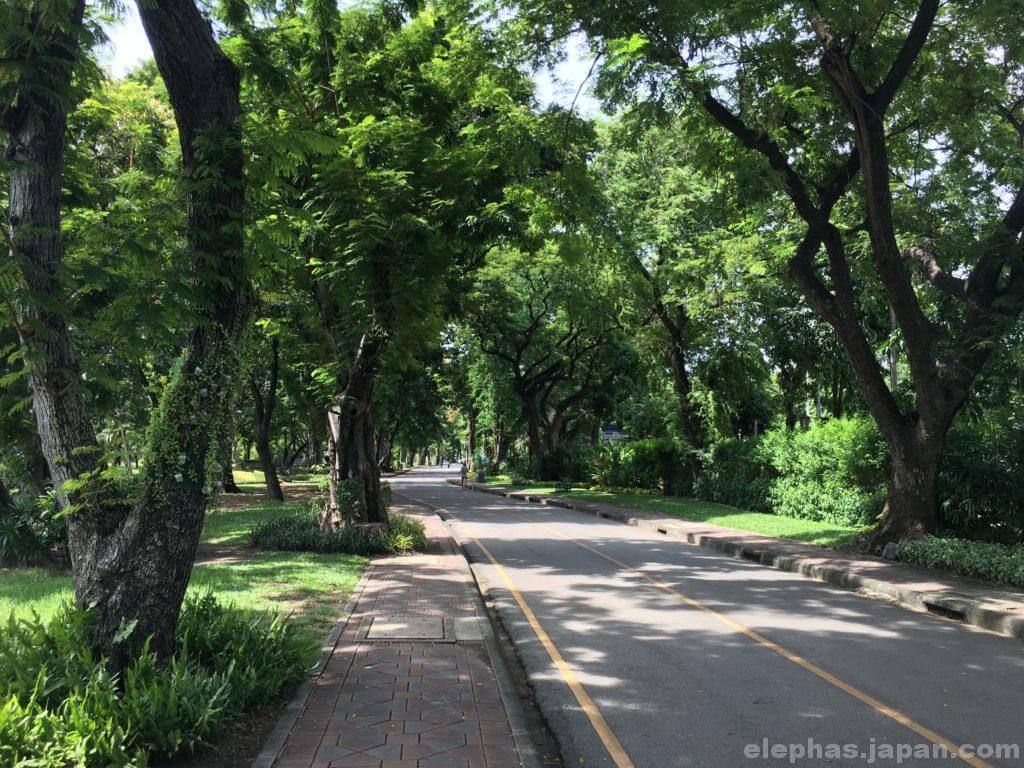 在タイ日本大使館そばのルンピニー公園２