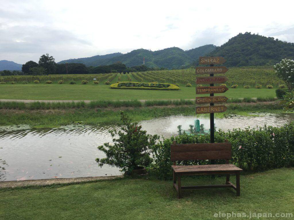 PBバレーカオヤイワイナリーの風景