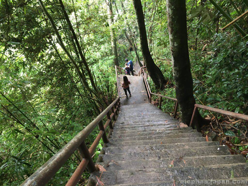 カオヤイ国立公園の階段