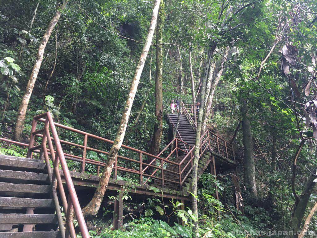 カオヤイ国立公園の階段２