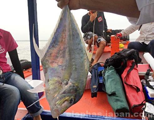 陣田筏で大物釣り2